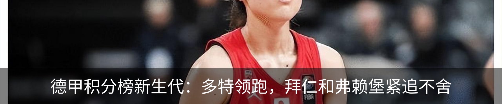 新闻动态