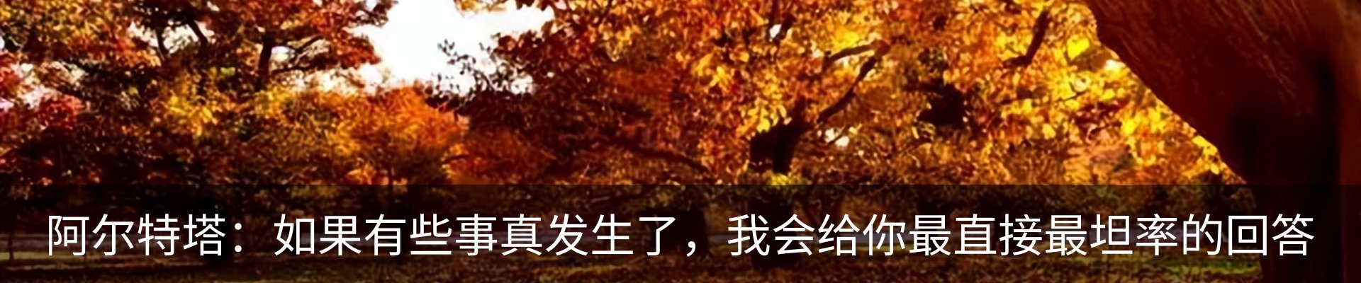 新闻动态